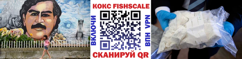 COCAIN Fish Scale  Ленинск-Кузнецкий 
