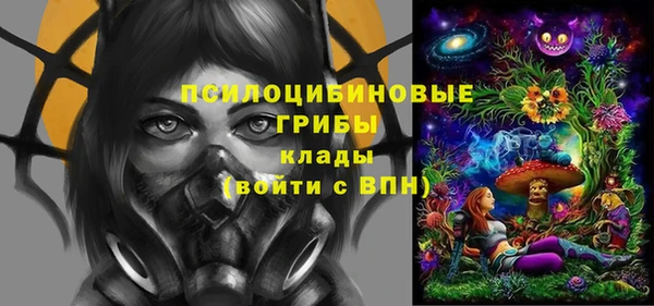 Альфа ПВП Баксан