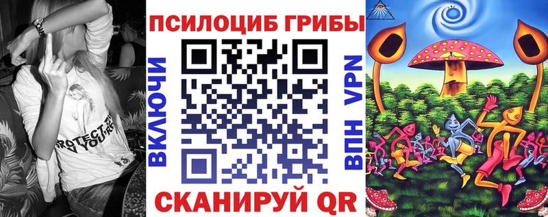 наркошоп  MEGA сайт  Псилоцибиновые грибы MAGIC MUSHROOMS  Ленинск-Кузнецкий 